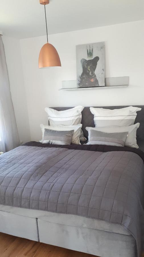 Ferienwohnung Sonnenschein 戈斯拉尔 外观 照片